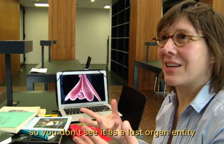 vulva 3.0